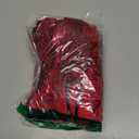 Forever 21 womens Satin & Lace Corset Crop Top (X-Small, Red)