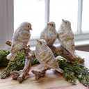 Birds On a Branch