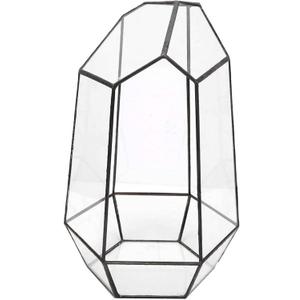 Home Plants Display Holder, Modern Glass Tabletop Succulent Plant Terrarium Box Plants Display Holder