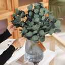 Real Eucalyptus Stems 20PCS Dried Preserved Fresh Eucalyptus Silver Dollar Leaves for Shower - Greenery Branches for Wedding Home Party Vase Filler Spring Decor