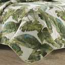 Tommy Bahama - Queen Quilt Set, Reversible Cotton Bedding with Matching Shams, Soft All Season Bedspread, Coastal Bedding Set (Fiesta Palms Green, Queen)