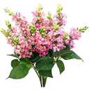Artificial Fake Flowers Silk Plastic Plant Arrangement for Home Indoor Outdoor Garden Wedding Table Vase Decorations Faux Snapdragon Flower, 3 Bouquets (Pink)