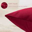 QUORGVES Red Velvet Pillow Covers 18x18 Inch Set of 2, Soft Solid Decorative Square Throw Pillow Covers, Decor Cushion Covers for Bed Sofa Couch Bedroom Living Room