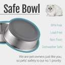 PEGYY11 Nonslip Stainless Steel Dog Cat Bowls, 2 US Cup, 2 Count