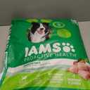 IAMS Proactive Health Adult Minichunks Premium Dry Dog Food, Adult Dog Food Dry Recipe, 30 lb. Bag (EXP 10/15/25)