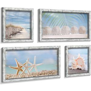 Starfish Prints Wooden Wall Art: Ocean Art Set of 4 Seashell Pictures Collection Beach Framed Wall Decor for Bedroom Overall 36"W x 24"H (White Sand Dollar)