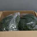 24" Artificial Plants Topiary Cedar Tree Outdoor, Set of 2 Faux Plants Outdoor UV Resistant Fake Shrubs for Front Porch Garden Decor with Ground Spike