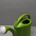 Root & Vessel 30413 Deluxe 2-Gallon Watering Can, Green