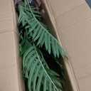 Artificial 3 Feet Areca Palm Tree with Realistic Leaves and Adjustable Branches Faux Palm Tree Pot, Fake Plants for Home, Office, Living Room, Kitchen, Bedroom, Balcony Decor
