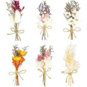 6Pcs Mini Dried Flowers Bouquet, Mixed Natural Dried Flowers Gypsophila Bouquets Boutonniere Table Centerpieces Birthday Cake Flowers for DIY Crafts with 3 Flower Stickers 10m Hemp Rope