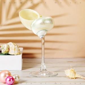 1 Pcs Conch Shell Wine Glass Wedding Wine Glasses Martini Glasses Goblet Cocktail Glass Cup Drinkware Drinking Stemware for Birthday Wedding Beach Bridesmaids Anniversary Party (Clear Base)