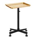 Premium Aluminum Salon Tray, Sturdy Corrosion-Resistant Adjustable Tray is Used for Tattoo Tray, Salon Tool/Color Tray, Beauty Spa Tray, Dentist Tray, Etc.(Black+Gold)