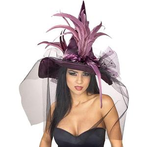 Rubies Costume Co. Women's Witch Hat with Feathers and Veil Costume