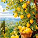 2 x Clendo Lemon Paint by Numbers Kits for Adults, DIY Lemon Tree Adult Paint by Number Kits on Canvas, Digital Oil Number Painting for Home Decor (16x20 Inch), Frameless