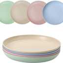 4pcs 9 Inch Lightweight Plastic Plates Unbreakable Reusable Dinner Plates Set, Camping Plate,Salad Plates, Dessert Plates for Salad Pasta Dishwasher & Microwave Safe (B)