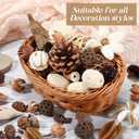 Nuanchu 2 Pack Decorative Balls Potpourri Bowl Filler Decor Natural Vase Bowl Filler Assorted Spherical Rattan Twigs Wicker Balls for Home Decor Centerpiece, No Scent(Beige Series,Classic Style)