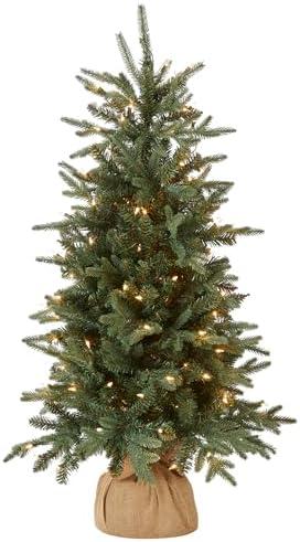 National Tree Company Pre-lit Artificial Mini Christmas Tree | Includes Small Lights and Cloth Bag Base | for Tabletop or Desk | Burlap-4 ft, 4', Green