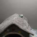 Dog House Indoor Memory Sponge, Foldable Dog House Kennel Bed Mat with Cushion for Small Medium Large Dogs Cats, Winter Warm Cat Nest Puppy Cave Sofa Pet Products (Medium)