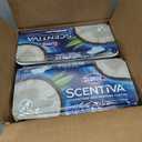 Clorox Scentiva Disinfecting Wet Mop Pad, Disposable Mop Heads, Coconut and Waterlily, 2 Packs, 24 Wet Refills Per Pack