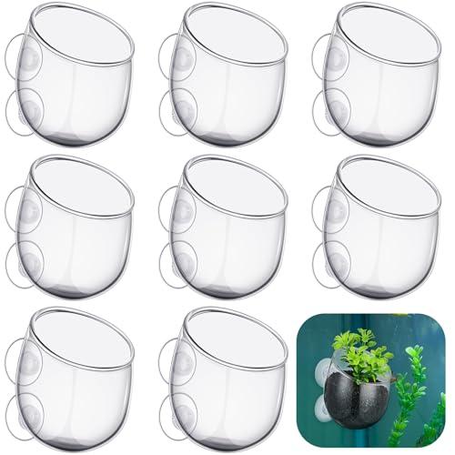 Dandat 5 Pcs Aquarium Plant Holder Pot Clear Glass Aquatic Plant Cup with Suction Cups Aquarium Fish Tank Pots for Aquaponic Cultivation Water Feature Decoration