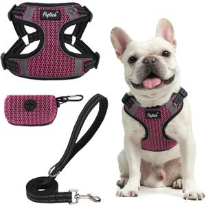 PUPTECK Dog Harness and Leash Set Small Sized, Step in No Pull Adjustable Puppy Cat Harness Reflective Pet Vest