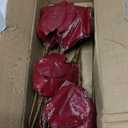 Briful 8 Large Heads Christmas Glitter Magnolia Flowers Christmas Tree Ornaments Set of 4 Artificial Flowers with Picks Stems for Xmas Tree Holiday Decorations,Red