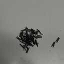 Mini Clothes Pins Wooden Clothespins for Photo 1 Inch 150 PCS Tiny Wood Clips Close Pins for Baby Clothing Hanging Classroom Crafts (Black)