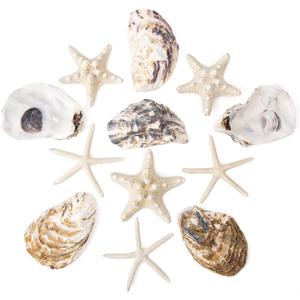 JQAQJU 3"-4" Sea Shells and Starfish 12PCS, Flat & Concave Large Oyster Shells for Crafts, Natural Beach Sea Shells for Crafting, Seashells for Crafting Home Decor Beach Party Wedding Fishtank DIY