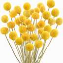 Uieke 30Pcs Natural Dried Flowers Craspedia Billy Balls Flowers Billy Buttons Floral Bouquet for Flower Arrangements Wedding Home Tall Vase Decor Yellow