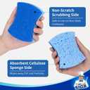 MR.SIGA Non-Scratch Cellulose Scrub Sponge, Dual-Sided Dishwashing Sponge for Kitchen, 12 Pack (Royal Blue, Light Blue)