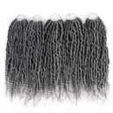 14Inch Spring Twist Crochet Hair 5pcs Synthetic Crochet Hair Bomb Twist Curly Ends Passion Twist Hair Pre Looped Synthetic Crochet Hair Extensions for Black Women (5Pack, 1B/Grey)