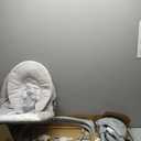 Graco Slim Spaces Compact Baby Swing, Space Saving Portable Bay Swing with Height Adjustable Legs & Soft Toys, Reign