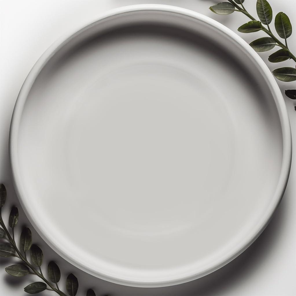 Willowy Matte White Ceramic Pot Saucer - Drainage Tray for 9, 10, 11, 12 Inch Planters 