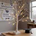 Woohaha Birch Tree for Christmas Decorations,2ft 24LED Warm White Lighted Birch TreeBattery USB Timer Tabletop Artificial Mini Tree with Lights for Home Indoor Holiday Party Wedding Graduation Decor (1ft 8in)