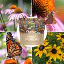 Drought Tolerant Wildflowers Mix  Extra Large Packet  Over 7,500 Open Pollinated Non-GMO Seeds  21 Different Dryland Species (1 Ounce Pouch)