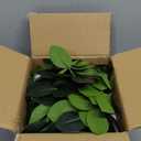 Hanging Plants Artificial Decor, Fake Hanging Plant in Clay Pot Artificial Hanging Plants with Fake Leaves and Hook for Wall Home Room Indoor Outdoor Dcor (Dark Green)
