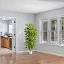 Warmplants Artificial Bamboo Tree, 6ft Tall Fake Bamboo Plant with White Planter, Faux Trees with 5 Trunks and Lifelike Leaves for Indoor Outdoor Home Office Decor