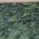 9FT 2PCS Artificial Cedar Garland for Christmas Decoration - Realistic Winter Greenery Garland for Mantel, Fireplace, Table, Door, Holiday Indoor Outdoor Decor (9FT Without Wire)