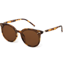 Livho Polarized Sunglasses, Retro & Oversized Shades for Women with Round Lenses