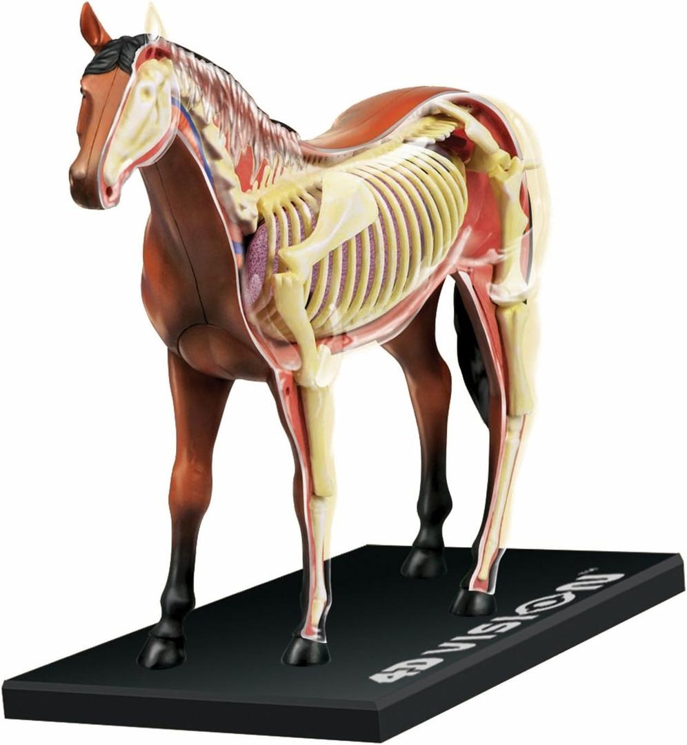 Tedco 4D Vision Horse Model
