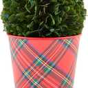 Mud Pie Boxwood Tartan Pot, Large, 5" x 5" Dia