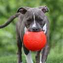 Jolly Pets Large Soccer Ball Floating-Bouncing Dog Toy, 8 inch Diameter, Orange