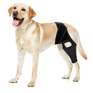 Jorme Dog Knee Brace for Torn ACL, Dog Leg Brace for PostSurgery Recovery, Arthritis & Luxating Patella,Side Stabilizers, Breathable Neoprene, Adjustable Velcro & Belly Band,Front/Rear Legs (S)
