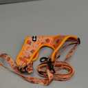 Dog Harness and Leash Set, Adjustable Dog Harness, Dog Leash, No Pull No Choke Puppy Harnesses for Walking Training for Small Pet (S(Chest 13 - 19", Neck 9.5 - 13.1"), Peach)