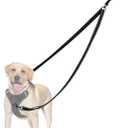 PetBonus Two Point Control Dog Leash, Works with No Pull Harnesses, No Tangle Training Leashes, Soft Padded and Reflective Walking Lead, Converts to Single Lead for Medium Large Dogs (Black)