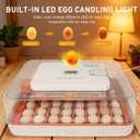 Nest IV - 56 Egg Incubator for Breeders, Fully Automated, Accurate Humidity & Temp Control, Chick Separator, Flexible Egg Spacing, Custom Incubation Days, Auto Turning & Auto Stop, Easy Monitoring