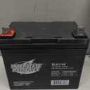 Interstate Batteries 12V 35Ah Battery (Flag Terminal) SLA AGM VRLA Rechargeable Replacement for UPS Backup Power, Emergency Lighting, Lawn Mower, Solar Power (SLA1155)