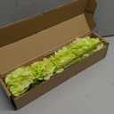 Kimura's Cabin 6pcs Green Silk Hydrangea Artificial Flowers Fake Hydrangeas with Stems Faux Hydrangea Bouquets for Wedding Arrangements Home Party Table Decoration (Lime Green)