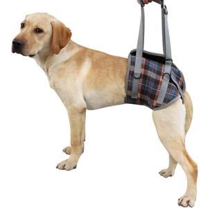 ROZKITCH Dog Lift Harness, Grid Pet Rear Support Aid Veterinarian Approved Sling for Old K9 Help with Poor Stability, Back Leg Hip Disabled Joint Injury Elderly Arthritis ACL Rehabilitation Rehab L