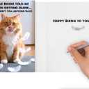 4 x Funny Cat Birthday Cardfor Women, Men, Coworkers, Friends & Family plus Free bonus Postcard included - a little birdie told us you're a year older
